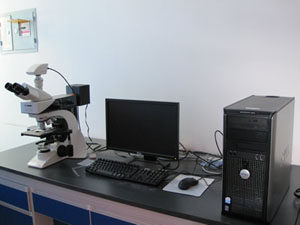 Leica DM 2500M metallographic microscope